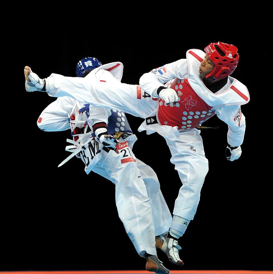 Taekwondo Logo